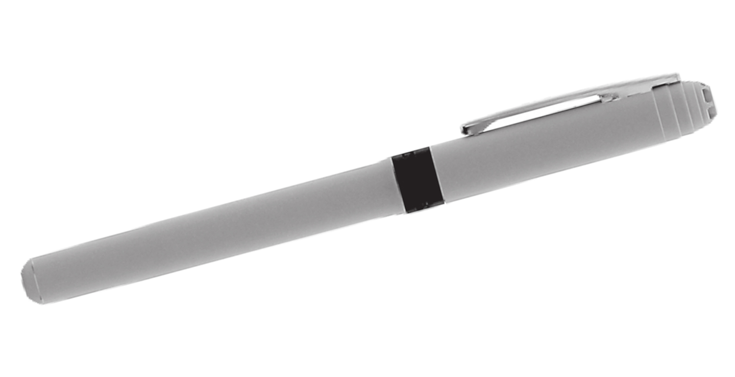 BIC® Rollerball Grip Roller Hellgrau